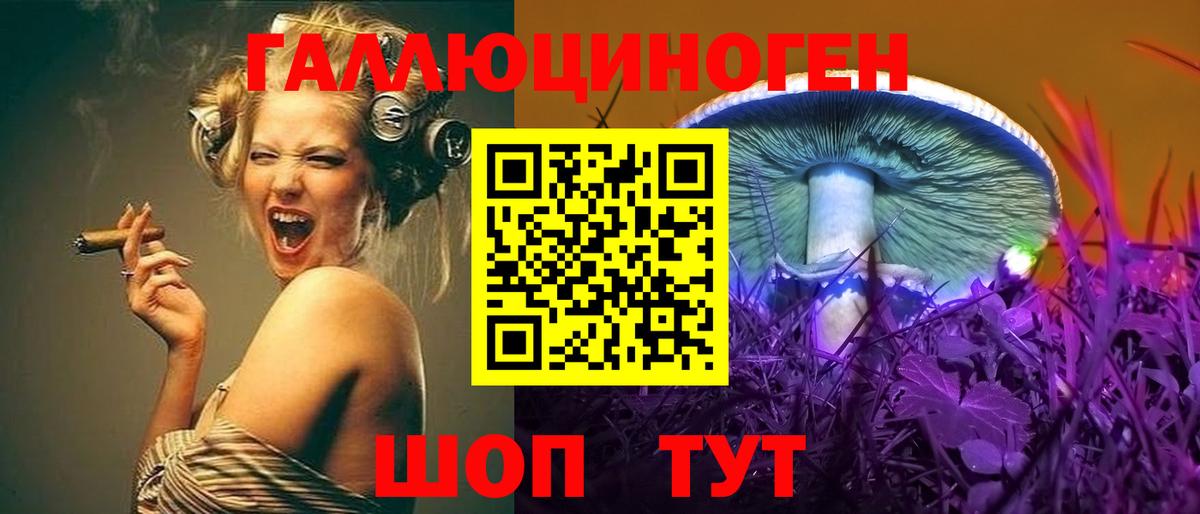 где можно купить   Вход с VPN  Острогожск  Галлюциногенные грибы мицелий 