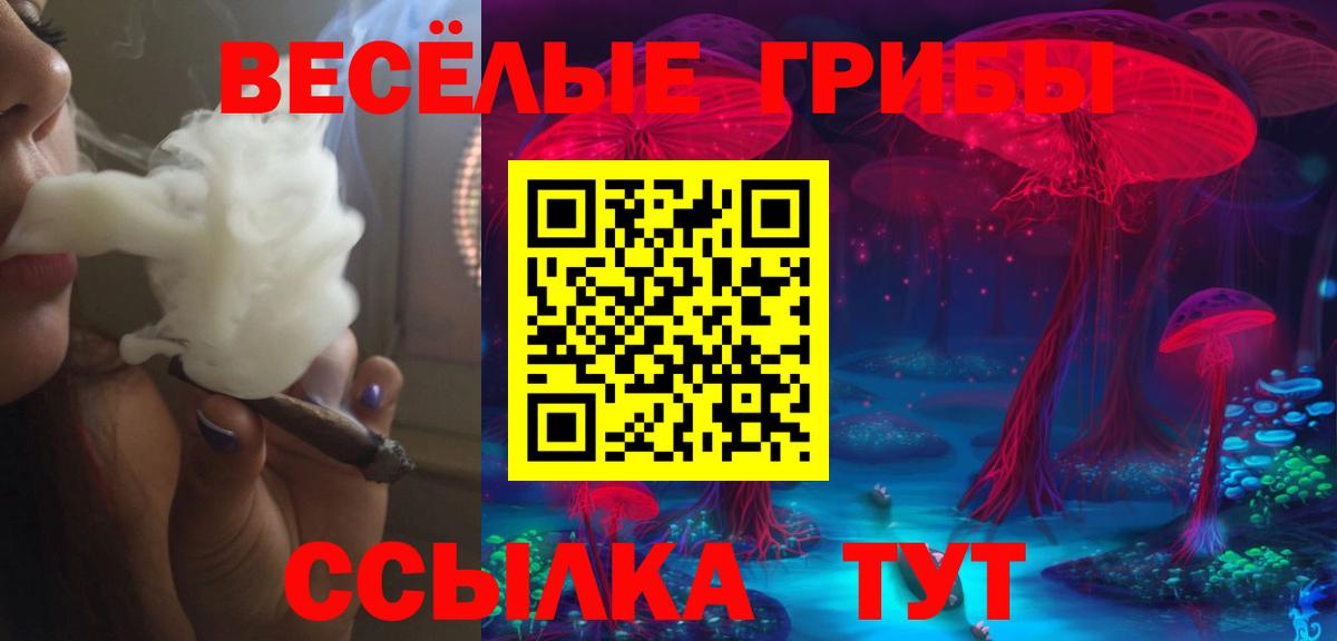 Псилоцибиновые грибы мицелий Острогожск